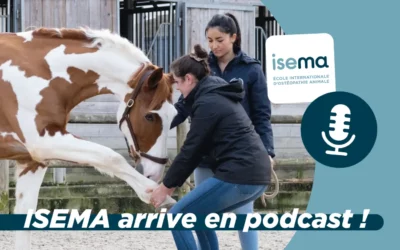 ISEMA arrive en podcast