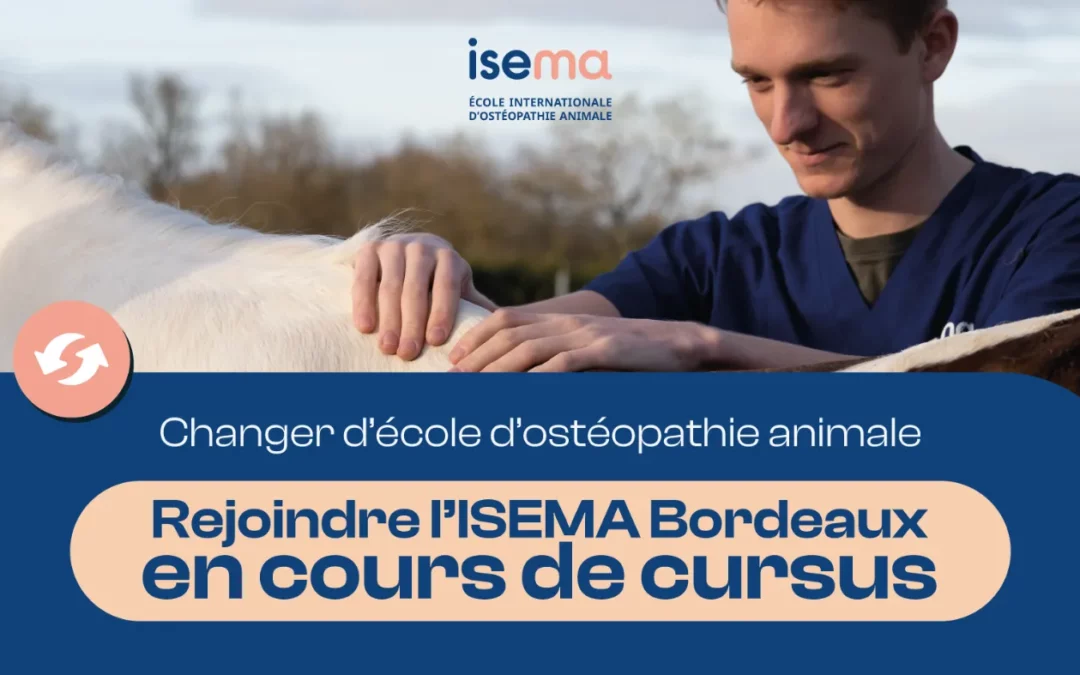 Changer d’école d’ostéopathie : rejoindre l’ISEMA Bordeaux en cours de cursus