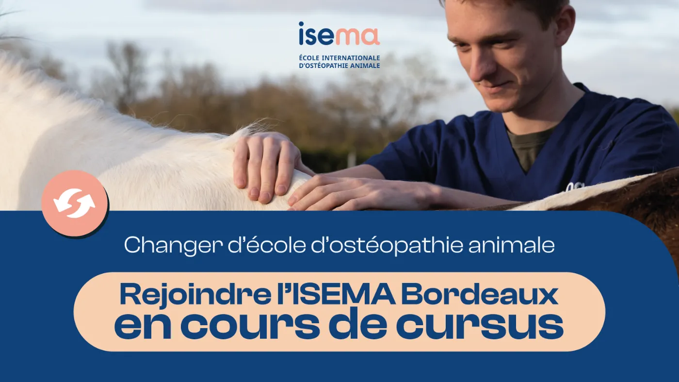 Changer-ecole-osteopathie-animale-isema