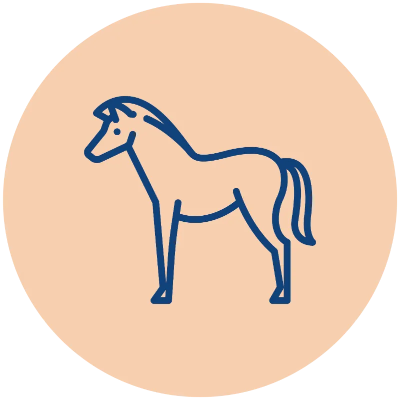 Cheval • icone isema bordeaux