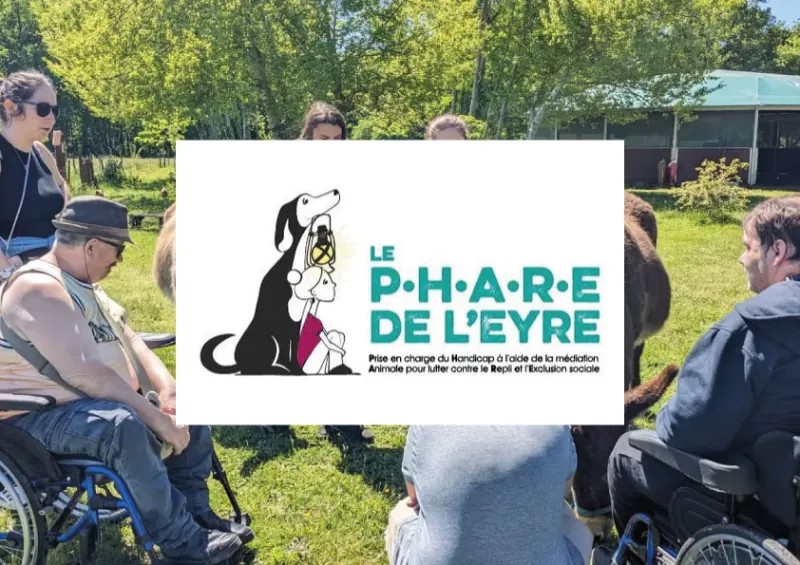 Le-phare-de-l'eyre-partenaire-isema-bordeaux Le-phare-de-l'eyre-partenaire-isema-bordeaux