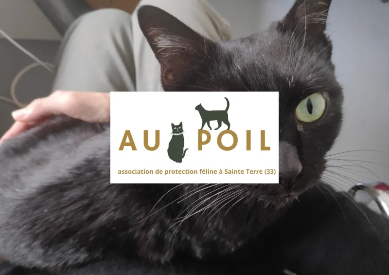 Le-phare-de-l'eyre-partenaire-isema-bordeaux