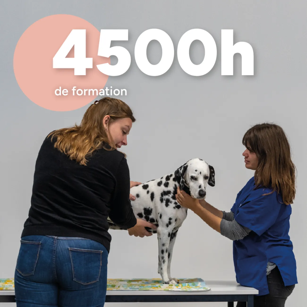 4500 heures • isema bordeaux 4500 heures de formation • ISEMA Bordeaux