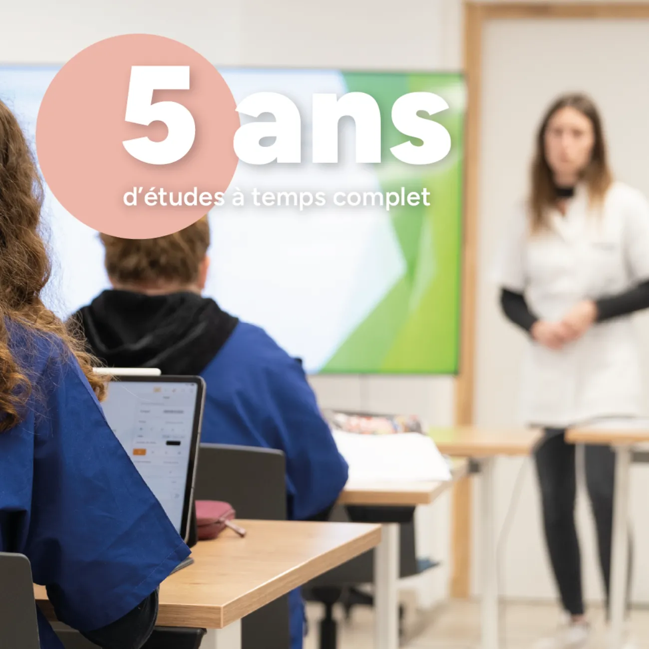 5 ans d'étude • isema bordeaux 5 ans d'étude • ISEMA Bordeaux