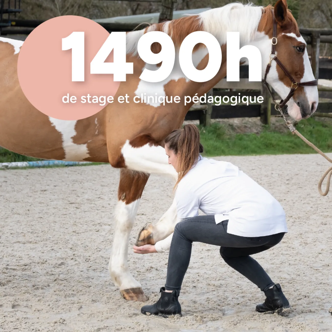 Pratique clinique • isema bordeaux Pratique clinique • ISEMA Bordeaux