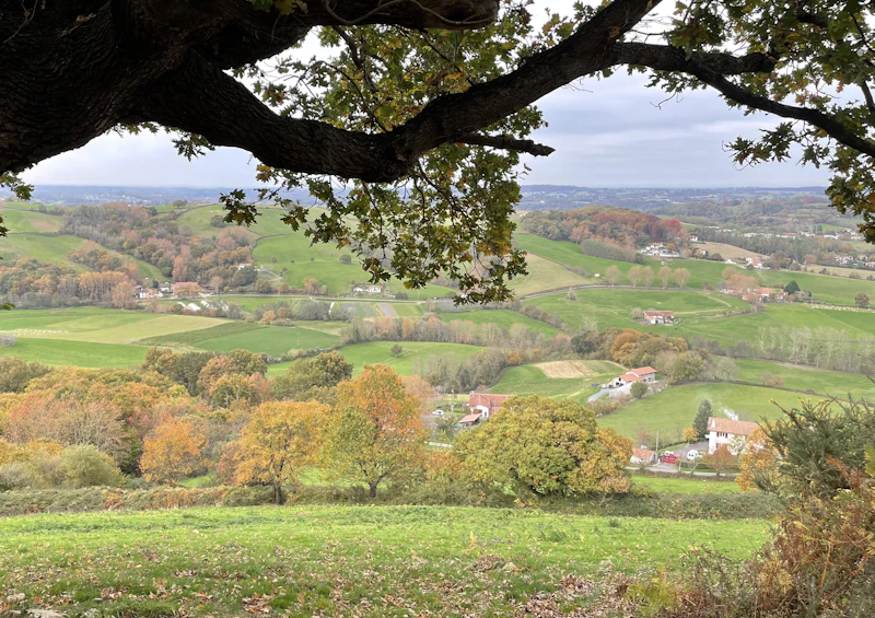 Domaine-de-Larue-Ambes