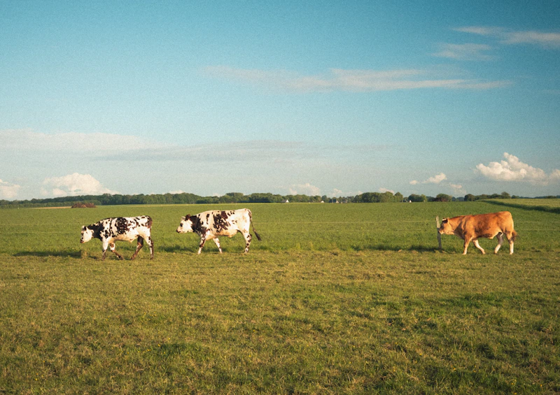 ferme-haute-lande-partenaire-isema-bordeaux