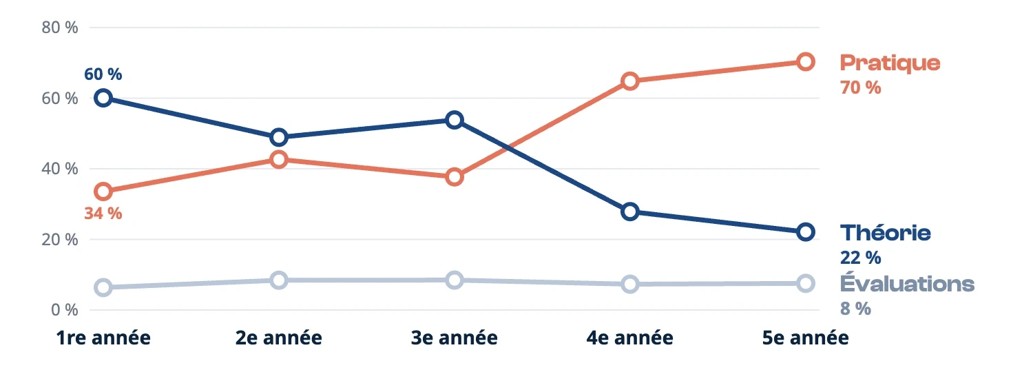 Évolution cours • isema bordeaux Répartition théorie, pratique et évaluations par année de formation à l'ISEMA